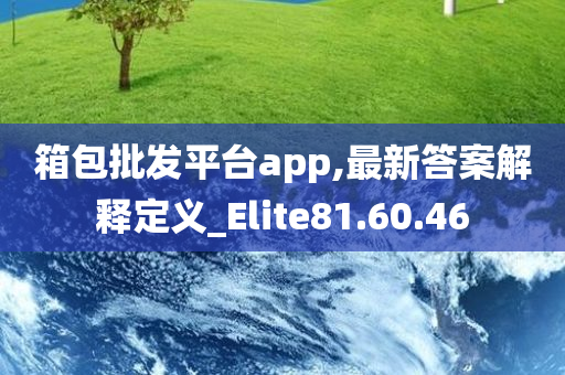 箱包批发平台app,最新答案解释定义_Elite81.60.46