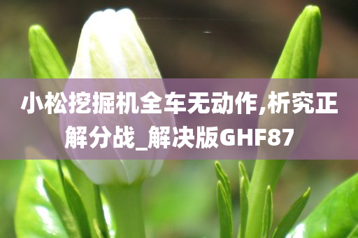 小松挖掘机全车无动作,析究正解分战_解决版GHF87