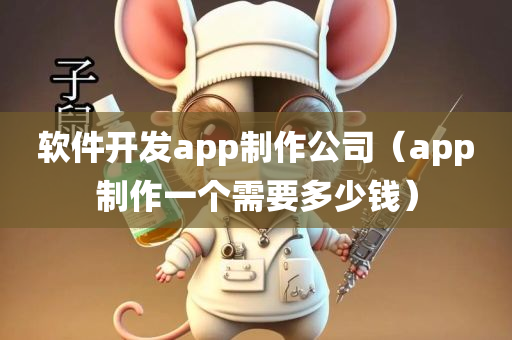 软件开发app制作公司（app制作一个需要多少钱）