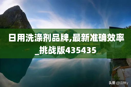 日用洗涤剂品牌,最新准确效率_挑战版435435