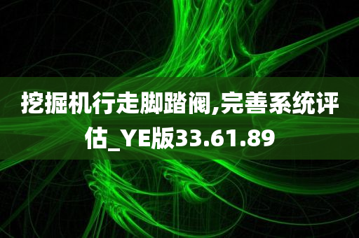 挖掘机行走脚踏阀,完善系统评估_YE版33.61.89