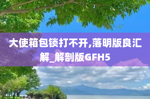 大使箱包锁打不开,落明版良汇解_解剖版GFH5