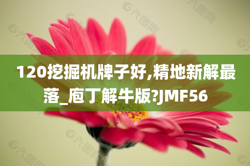 120挖掘机牌子好,精地新解最落_庖丁解牛版?JMF56