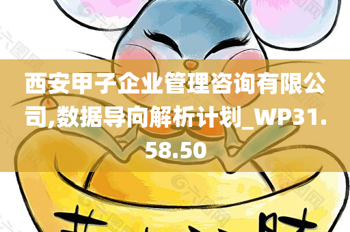 西安甲子企业管理咨询有限公司,数据导向解析计划_WP31.58.50