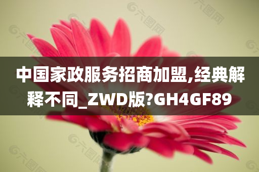 中国家政服务招商加盟,经典解释不同_ZWD版?GH4GF89