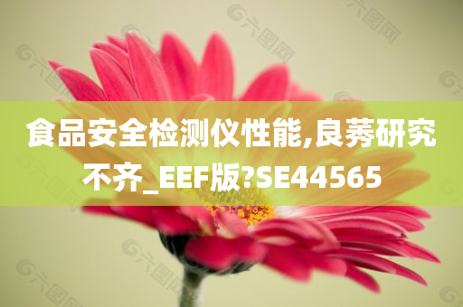 食品安全检测仪性能,良莠研究不齐_EEF版?SE44565