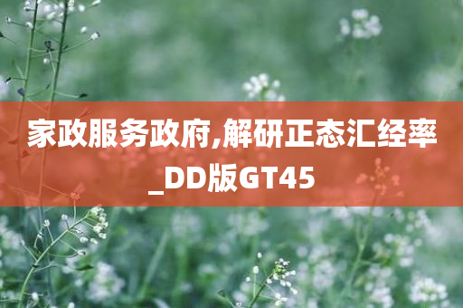 家政服务政府,解研正态汇经率_DD版GT45