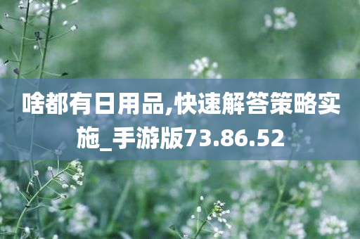 啥都有日用品,快速解答策略实施_手游版73.86.52