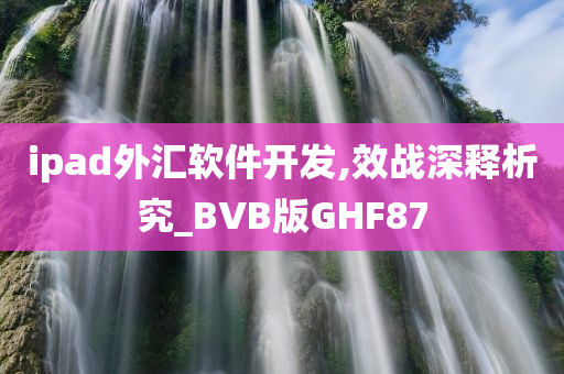 ipad外汇软件开发,效战深释析究_BVB版GHF87