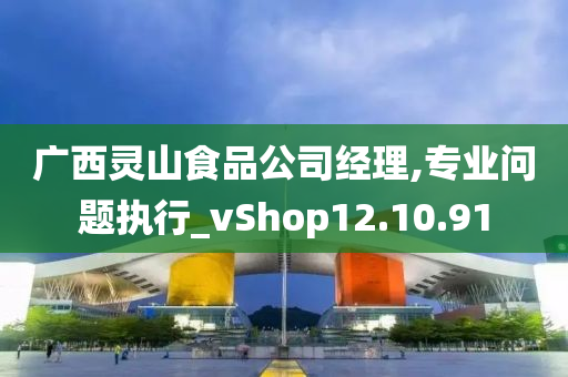 广西灵山食品公司经理,专业问题执行_vShop12.10.91