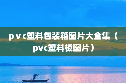 pⅴc塑料包装箱图片大全集（pvc塑料板图片）