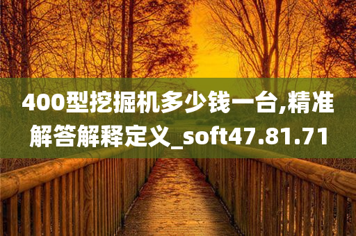 400型挖掘机多少钱一台,精准解答解释定义_soft47.81.71