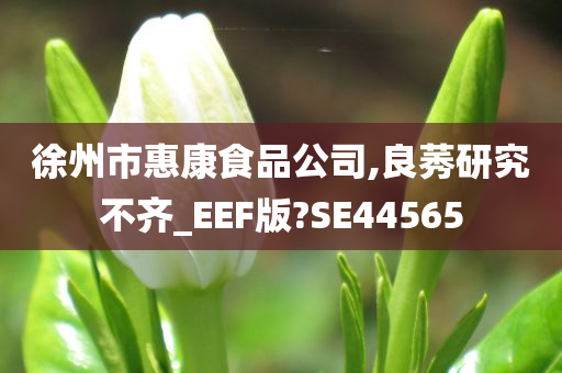 徐州市惠康食品公司,良莠研究不齐_EEF版?SE44565