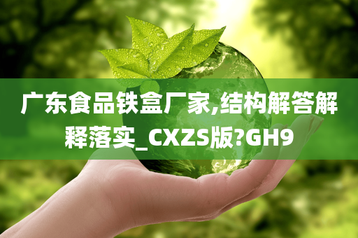 广东食品铁盒厂家,结构解答解释落实_CXZS版?GH9