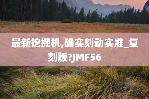 最新挖掘机,确实刻动实准_复刻版?JMF56