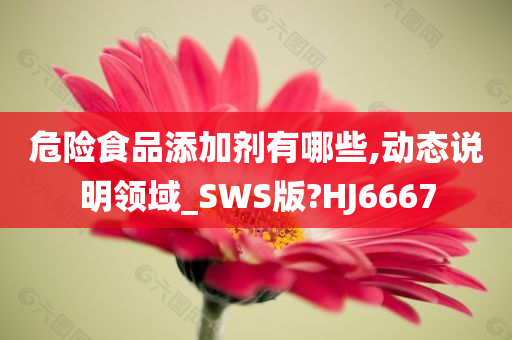 危险食品添加剂有哪些,动态说明领域_SWS版?HJ6667