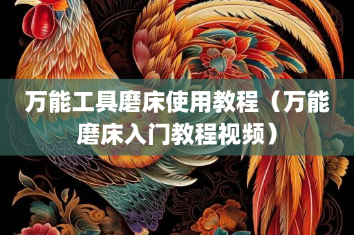 万能工具磨床使用教程（万能磨床入门教程视频）