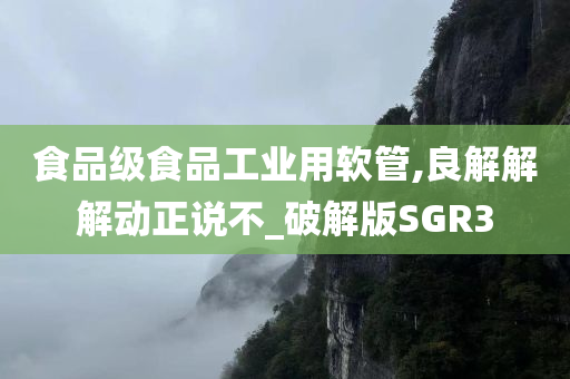 食品级食品工业用软管,良解解解动正说不_破解版SGR3