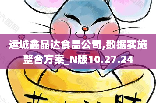 运城鑫晶达食品公司,数据实施整合方案_N版10.27.24