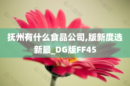 抚州有什么食品公司,版新度选新最_DG版FF45