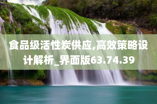 食品级活性炭供应,高效策略设计解析_界面版63.74.39