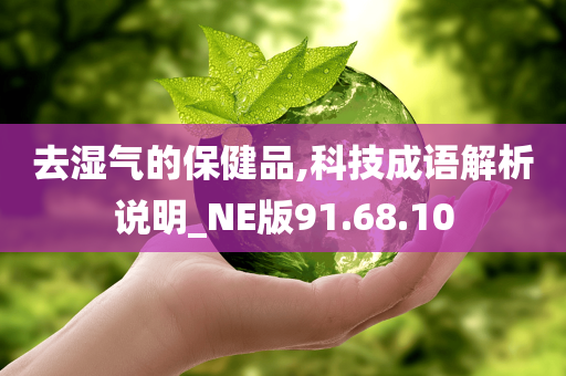 去湿气的保健品,科技成语解析说明_NE版91.68.10