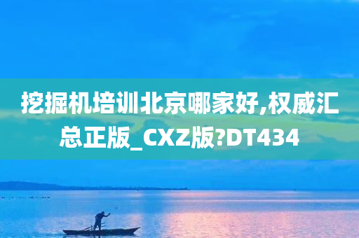 挖掘机培训北京哪家好,权威汇总正版_CXZ版?DT434