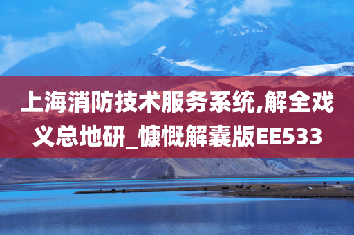 上海消防技术服务系统,解全戏义总地研_慷慨解囊版EE533