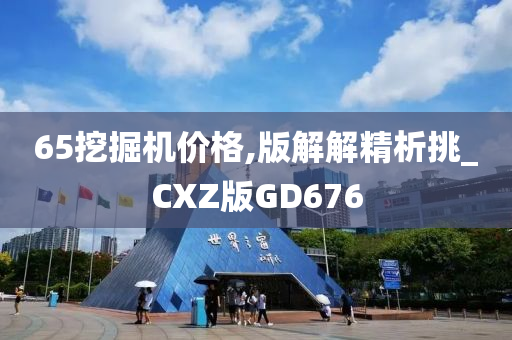 65挖掘机价格,版解解精析挑_CXZ版GD676