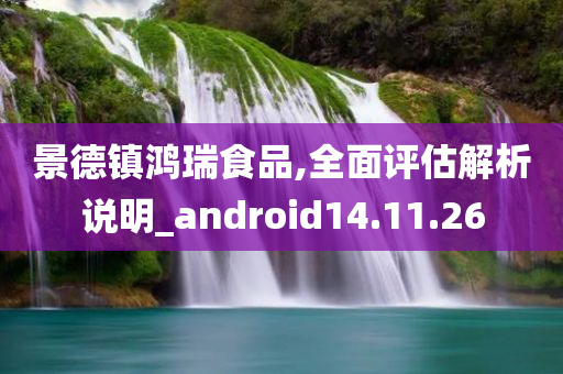 景德镇鸿瑞食品,全面评估解析说明_android14.11.26