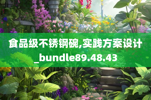 食品级不锈钢碗,实践方案设计_bundle89.48.43