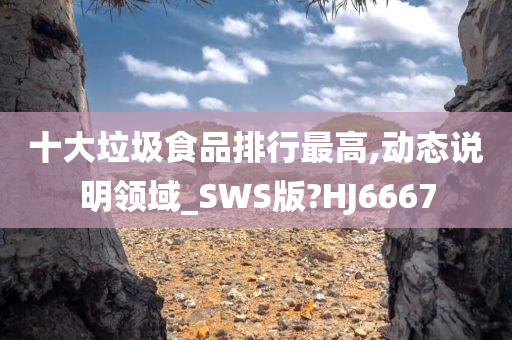 十大垃圾食品排行最高,动态说明领域_SWS版?HJ6667