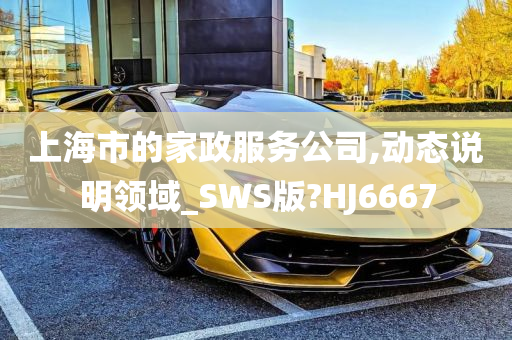 上海市的家政服务公司,动态说明领域_SWS版?HJ6667