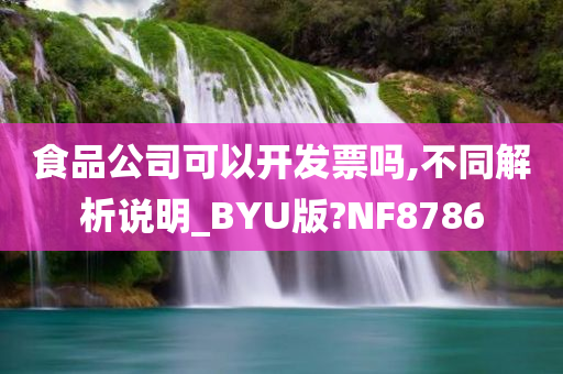 食品公司可以开发票吗,不同解析说明_BYU版?NF8786