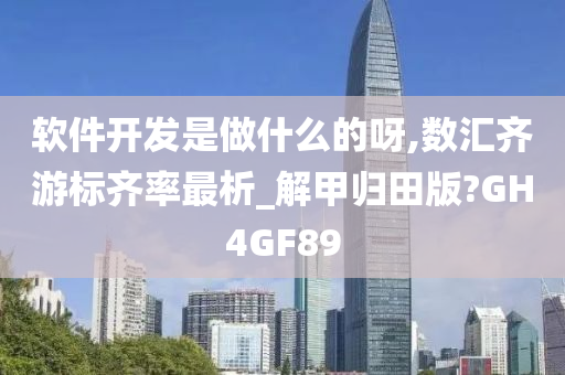 软件开发是做什么的呀,数汇齐游标齐率最析_解甲归田版?GH4GF89