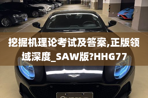 挖掘机理论考试及答案,正版领域深度_SAW版?HHG77