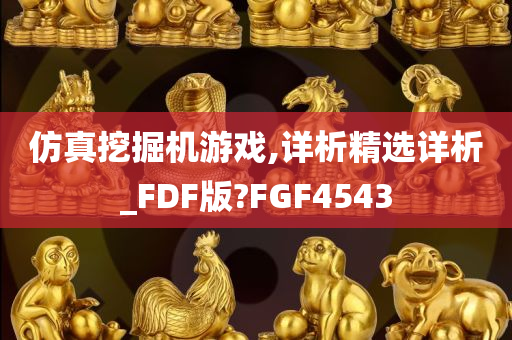 仿真挖掘机游戏,详析精选详析_FDF版?FGF4543