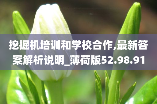 挖掘机培训和学校合作,最新答案解析说明_薄荷版52.98.91