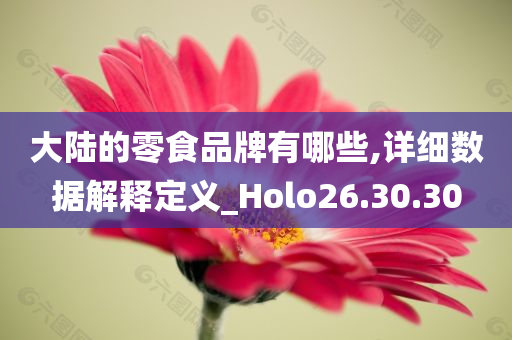 大陆的零食品牌有哪些,详细数据解释定义_Holo26.30.30